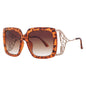 Betsey Johnson Square Sunglasses – Tortoise/Brown Gradient (10260845.LTS)