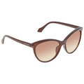 Calvin Klein  Brown Gradient Cat Eye Ladies Sunglasses