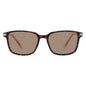 Polaroid PLD 4169/G/S/X Men's Polarized Square Sunglasses – Havana